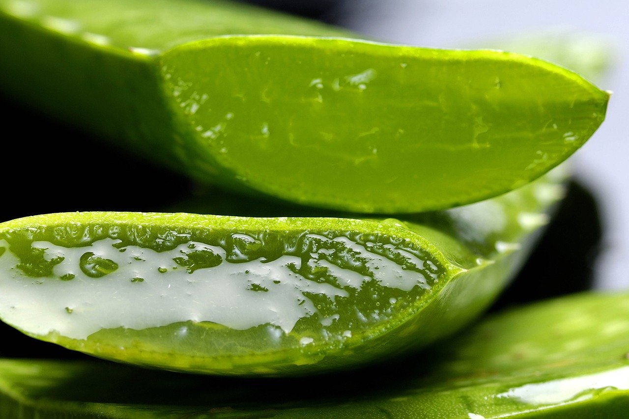 Aloe Verát Dörzsölt Hajába, Ami Pár Perc Múlva Történt, Teljesen Ledöbbentette! – Ősi Indiai Módszer