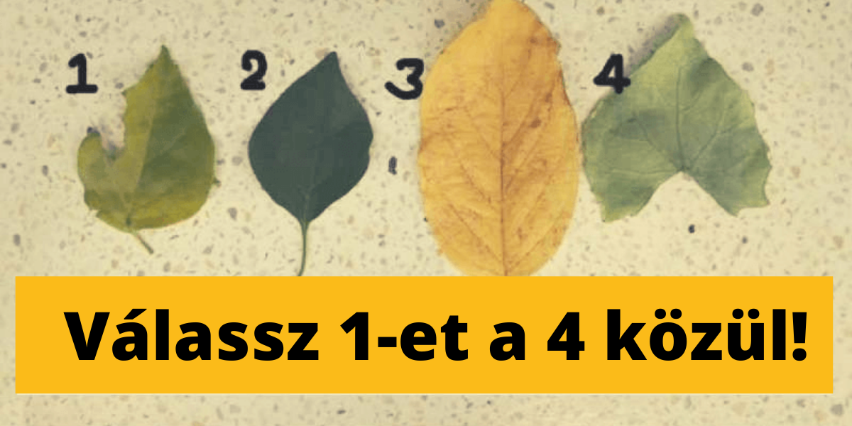 Válassz 1 falevelet a 4 közül – felfedi a rejtett tulajdonságaid!