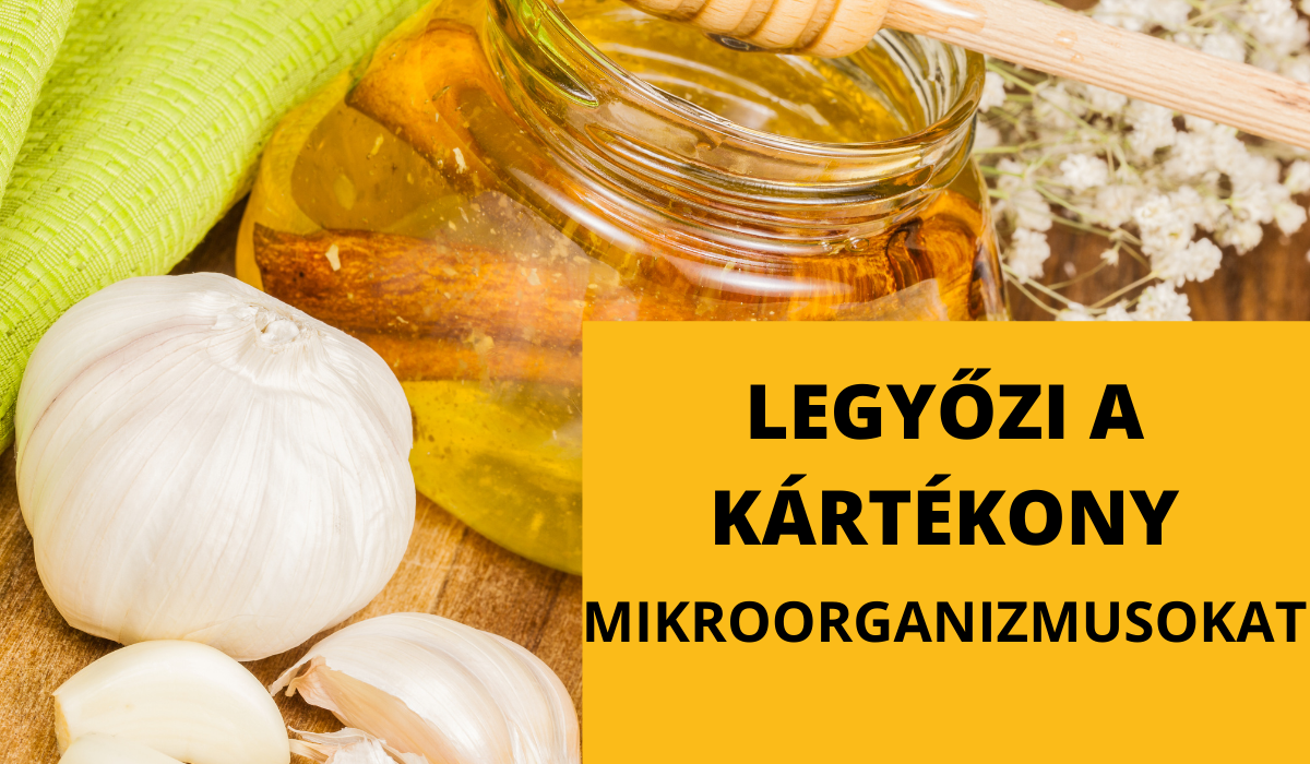 Íme a Kártékony Mikroorganizmusok Természetes Ellensége! Csupán 3 Összevetőt Kell Elkészíteni Hozzá: