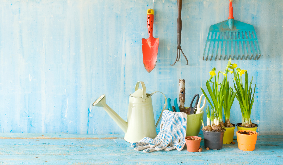 Így turbózhatod fel növényeidet szódabikarbónával!