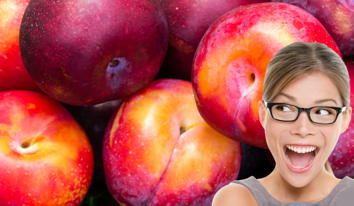 Ez Történik A Szervezeteddel, Ha Minden Nap Szilvát Eszel: