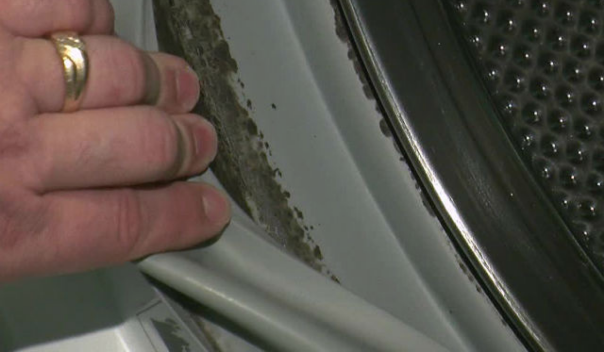 Szabadulj meg VÉGLEG a mosógép belsejében kialakuló penészgombáktól, kellemetlen szagoktól!